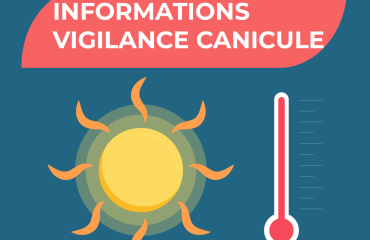 VIGILANCE CANICULE