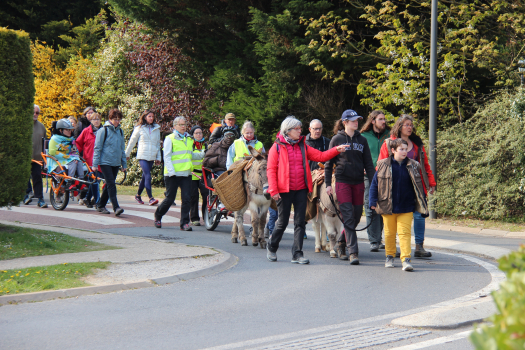 Transhumance 2019 : retour en images