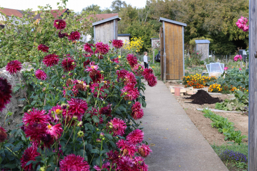 Cultivons la biodiversité : retour en images