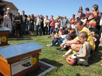 Participation à la préservation des abeilles et de la biodiversité