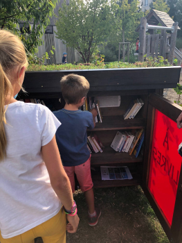 Boîte à livres