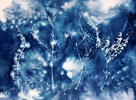 cyanotype