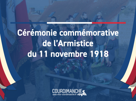 11 novembre