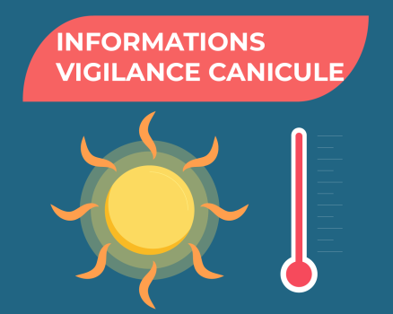 VIGILANCE CANICULE