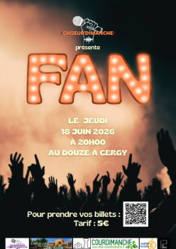 Concert Fan