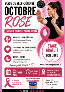 Stage SDU octobre rose